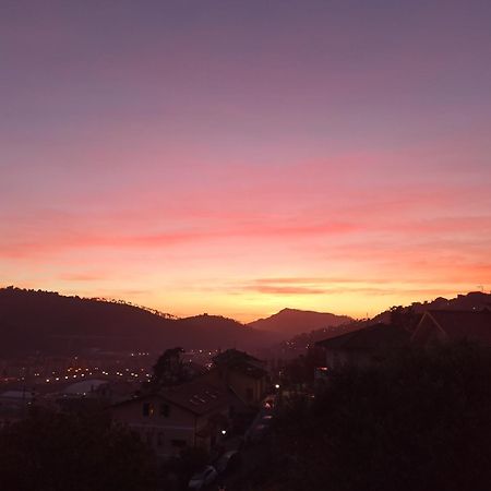 Il Glicine Cozy Appartamnent, Near Sestri Levante Between Cinque Terre E Portofino Casarza Ligure Dış mekan fotoğraf