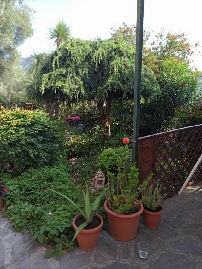 Il Glicine Cozy Appartamnent, Near Sestri Levante Between Cinque Terre E Portofino Casarza Ligure Dış mekan fotoğraf