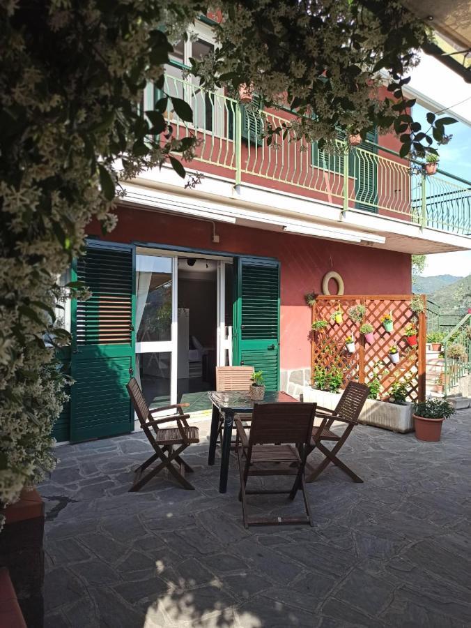 Il Glicine Cozy Appartamnent, Near Sestri Levante Between Cinque Terre E Portofino Casarza Ligure Dış mekan fotoğraf