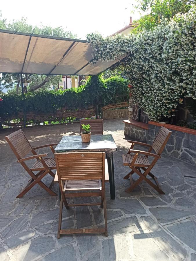 Il Glicine Cozy Appartamnent, Near Sestri Levante Between Cinque Terre E Portofino Casarza Ligure Dış mekan fotoğraf
