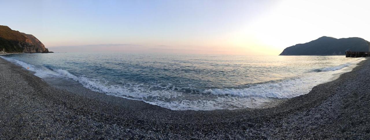 Il Glicine Cozy Appartamnent, Near Sestri Levante Between Cinque Terre E Portofino Casarza Ligure Dış mekan fotoğraf