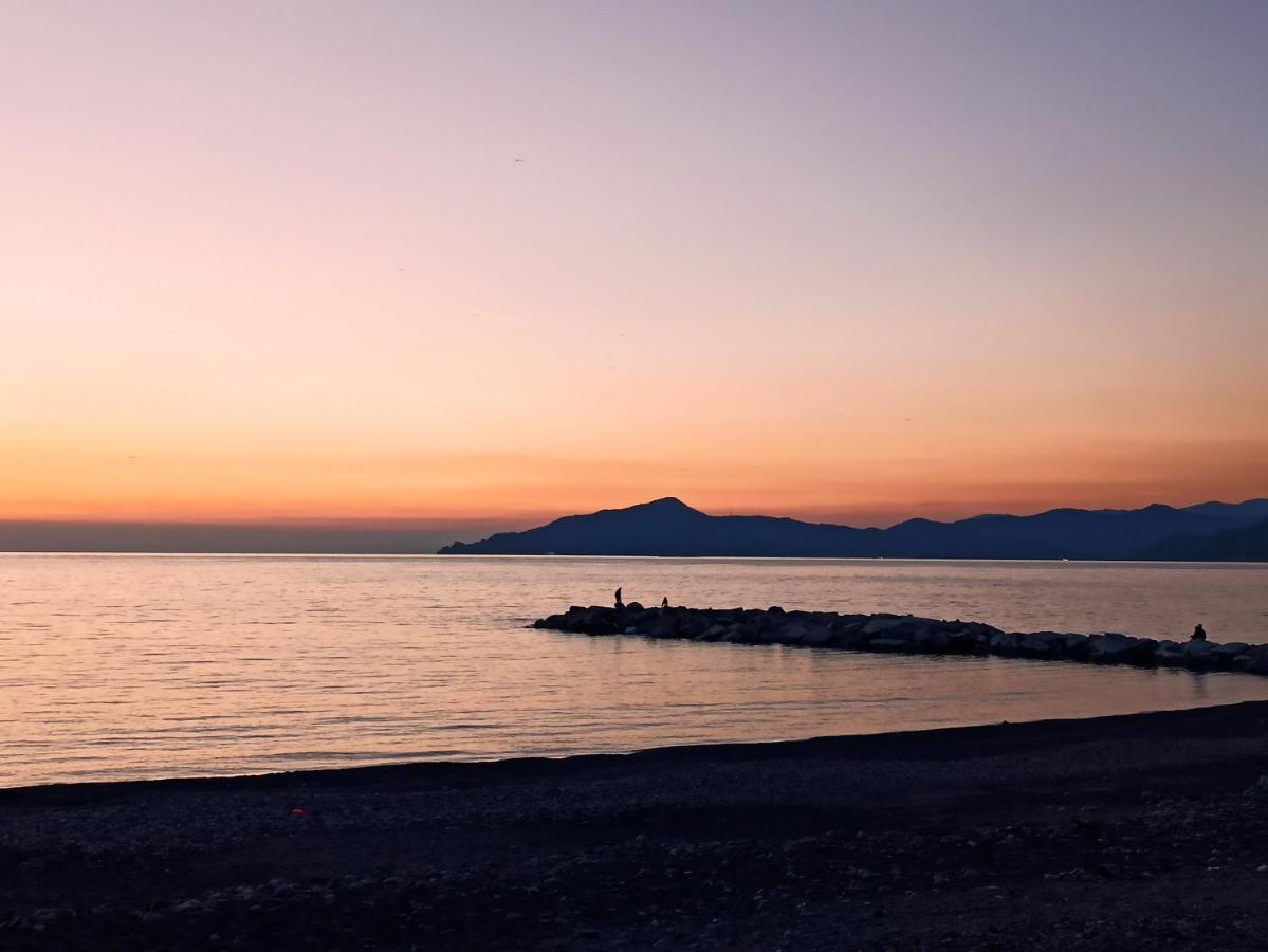 Il Glicine Cozy Appartamnent, Near Sestri Levante Between Cinque Terre E Portofino Casarza Ligure Dış mekan fotoğraf
