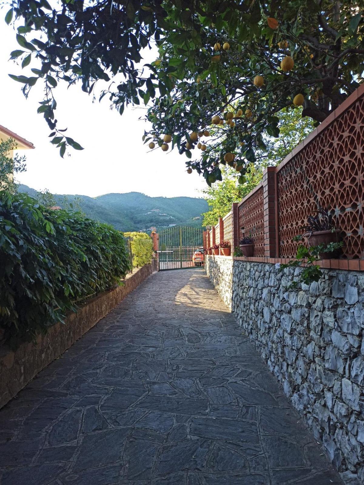 Il Glicine Cozy Appartamnent, Near Sestri Levante Between Cinque Terre E Portofino Casarza Ligure Dış mekan fotoğraf
