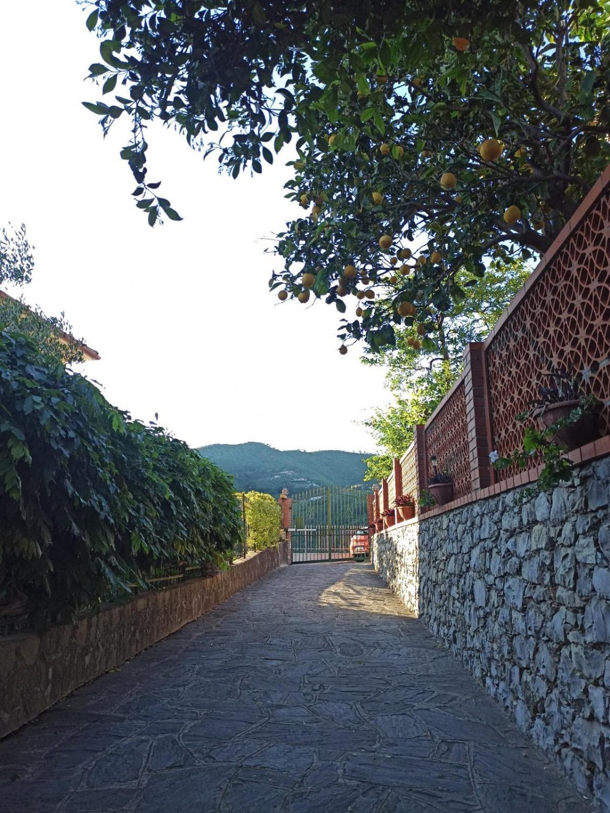 Il Glicine Cozy Appartamnent, Near Sestri Levante Between Cinque Terre E Portofino Casarza Ligure Dış mekan fotoğraf